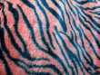 Minky Animal Print Fur Fabric - Tiger #20