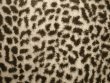 Minky Animal Print Fur Fabric - Baby Cheetah