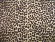Wholesale Minky Animal Print Fur Fabric - Baby Cheetah - 12 yards