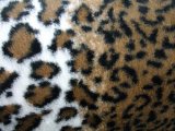 Minky Animal Print Fur - Striped Leopard, alternate view 1