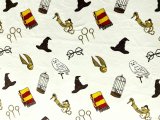 Minky Apparel Plush Fabric - Harry Potter - Wizard Items Tossed