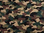 Wholesale Camouflage Fabric