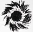 Feather Wheel - Black
