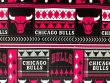 Minky Apparel Plush Fabric - Chicago Bulls