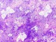 Quilting Cotton Print Fabric - Lavender Butterflies