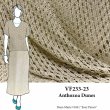 VF233-23 Anthozoa Dunes - Beige Novelty Lace Fabric