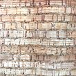 Cork Fabric - Lines - By the yard
