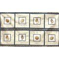 Quilting Cotton Panel Print Fabric - Sea Treasures