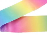 Wrights Fancy Blanket Binding #798- Rainbow #02