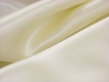 Silk Charmeuse Fabric - Ivory