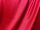 Temptress Stretch Satin Fabric - Red