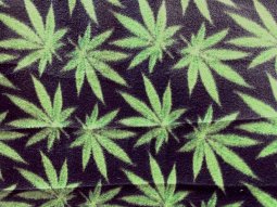 Polar Fleece Print Fabric - Cannabis