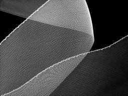 Horsehair Braid- White 6"