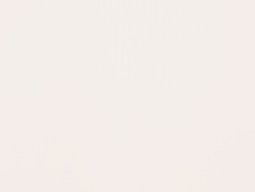 Wholesale Rip Stop Nylon Fabric - White - 20 Yards