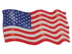 Caviar Bead Iron-On Appliqué - 5 1/2 x 3" wide