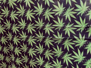 Polar Fleece Print Fabric - Cannabis
