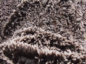 Alpaca Fake Fur Fabric - Brown/Ivory