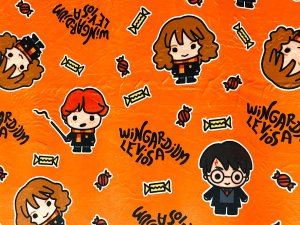 Minky Apparel Plush Fabric - Harry Potter - Kawaii Orange