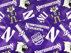 Quilting Cotton Print Fabric - Northwestern University Wildcat