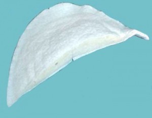 Wholesale Shoulder Pad #524 - 5/8" Uncovered Set-in Pads - White, 100 pairs