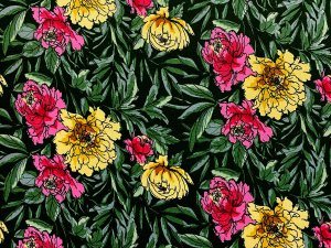 VF226-32 Tante Garden - Fuchsia and Yellow Floral Print on Black Cotton Knit Fabric