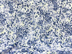 VF232-15 Louis Petals - Blue Stylized Floral Print on Cotton-Rayon Jersey Knit Fabric