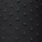 Dotted Swiss Cotton Batiste Fabric - Black