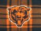 Wholesale Bears Logo Polar Fleece Plaid - close up view