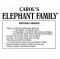 Carol's Elephant Family pattern