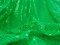Faux Sequin Knit fabric - Flag Green
