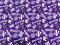 Quilting Cotton Print Fabric - Northwestern University Wildcat