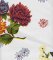 Oilcloth - Mums White