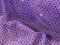 Wholesale Faux Sequin Knit Fabric - 1032 Purple  25 yards