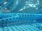 Faux Sequin Knit Fabric - 932 Turquoise