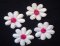 Applique - 4 White Flowers w/pink center