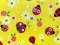 Quilting Cotton Print Fabric - Lady Bugs