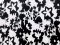 Imported Linen - Black and White Floral - Printed Linen Fabric