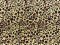 VF224-42 Treat Wildcat - Golden Animal Print Polyester Crepe Georgette Fabric