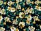 VF231-16 Luthier Flora - Hunter and Tan on Black Rayon Challis Floral Print Fabric