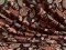 VF235-23 Structure Paisley - Autumn Colored Paisley Print on Black Rib Knit Fabric