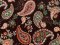 VF235-23 Structure Paisley - Autumn Colored Paisley Print on Black Rib Knit Fabric